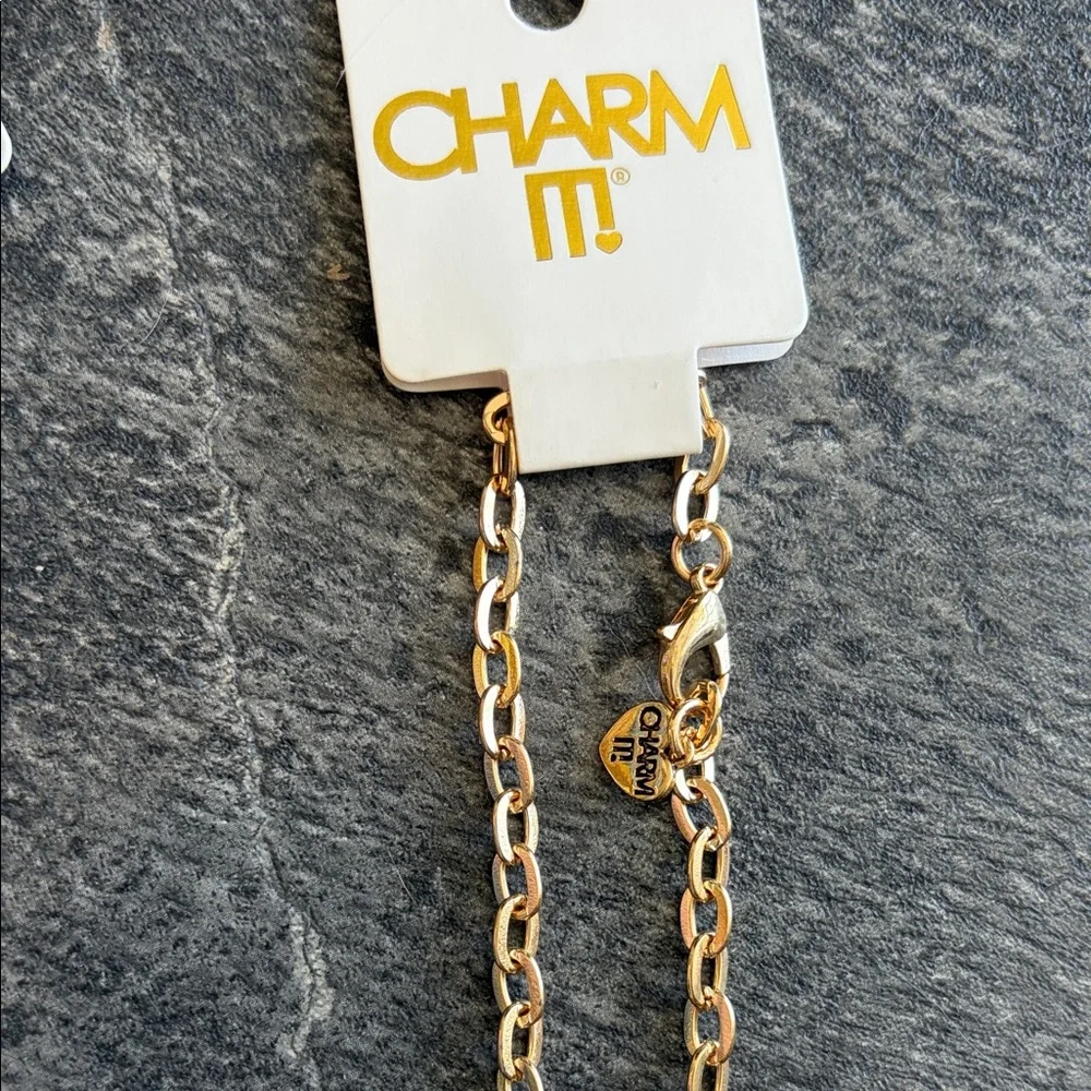 NWT - Charm It! Necklace and 3 pc Charm Set